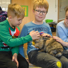Hasenbesuch in der Schule