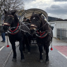Weihnachtsmarkt Mäder