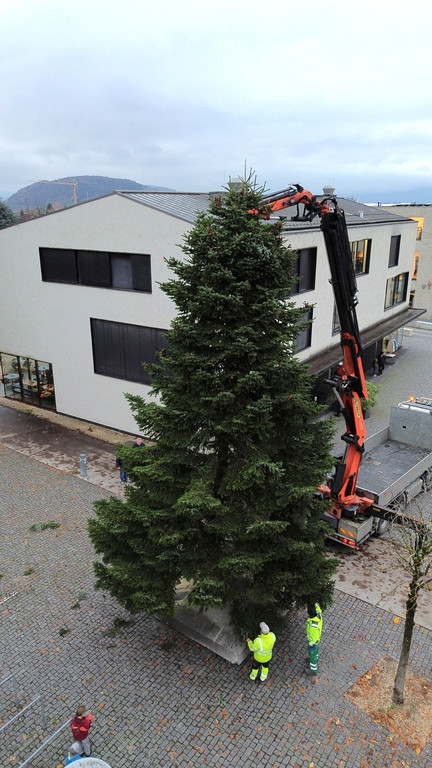 01 Baum aufstellen __ Bernd Oswald.jpg
