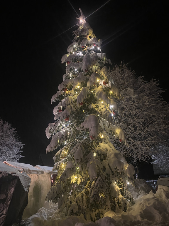 IMG_8877.JPG