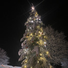 Bilder Schnepfauer Christbaumfeier