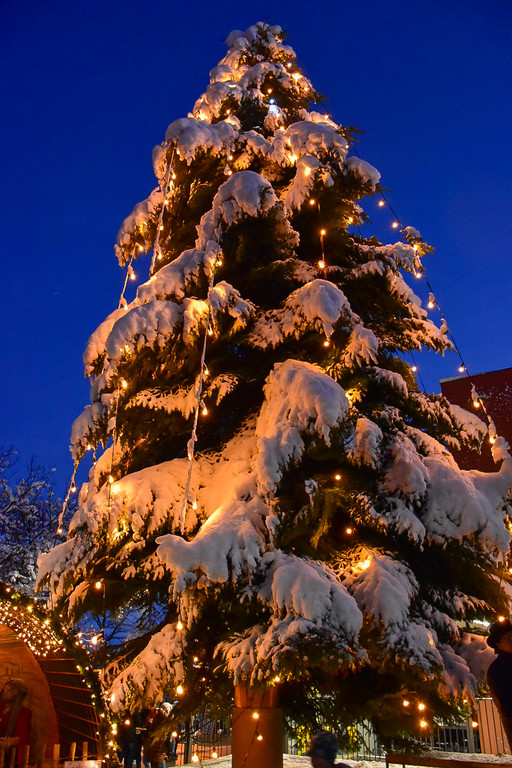20231203_Weihnachtsmarkt-90.jpg