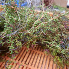 20231205_202632.jpg