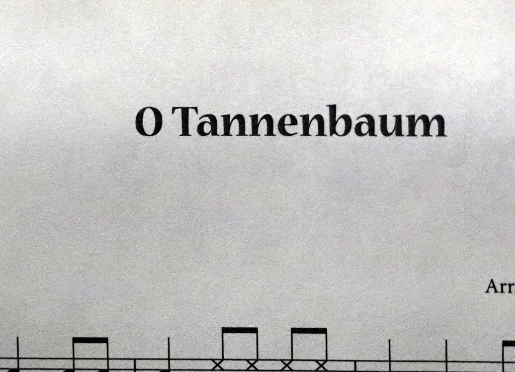 Pannenbaum _13_.JPG