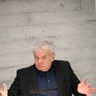 Pannenbaum _32_.JPG