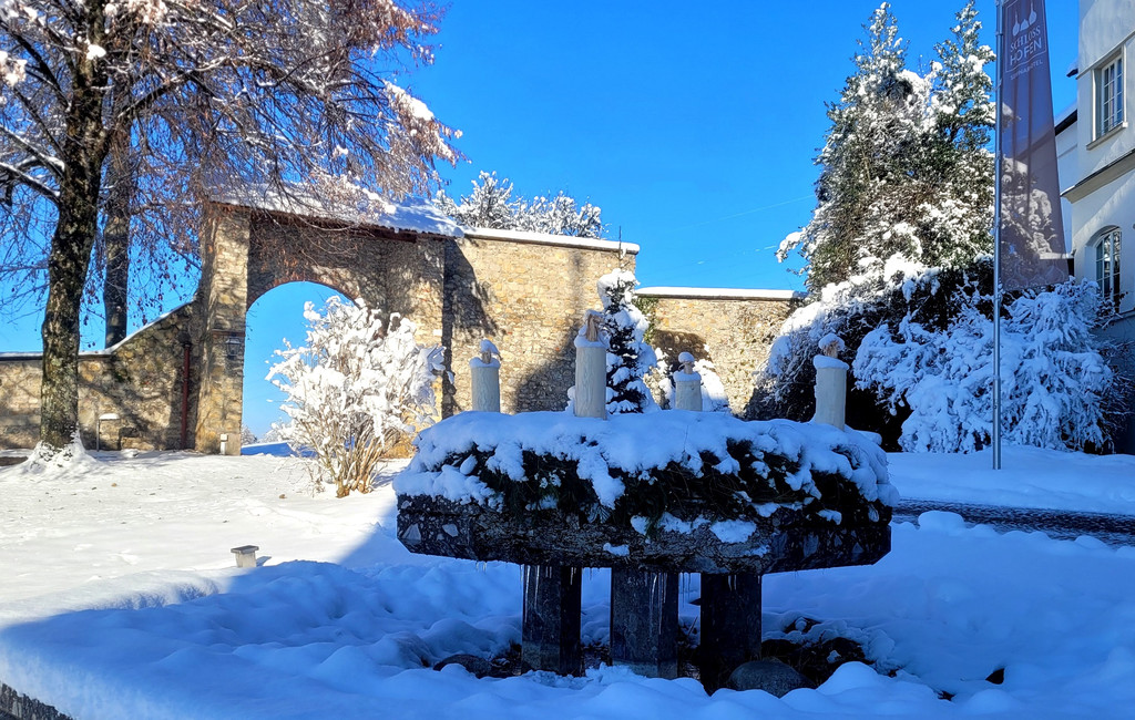 Lochau Schloss Hofen Weihnachtsmarkt TERMIN Dezember 2023 SYMBOLFOTOS _3_.jpg