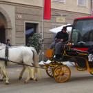 P1200225 - Kopie.JPG