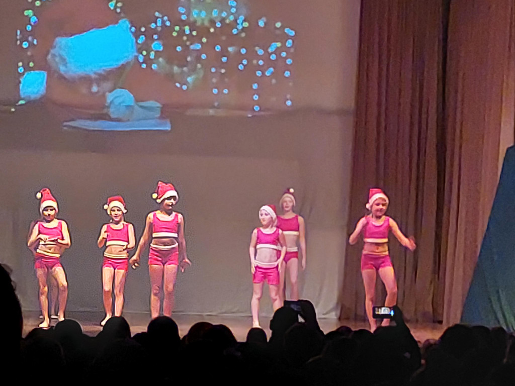 Viele Barbies.jpg