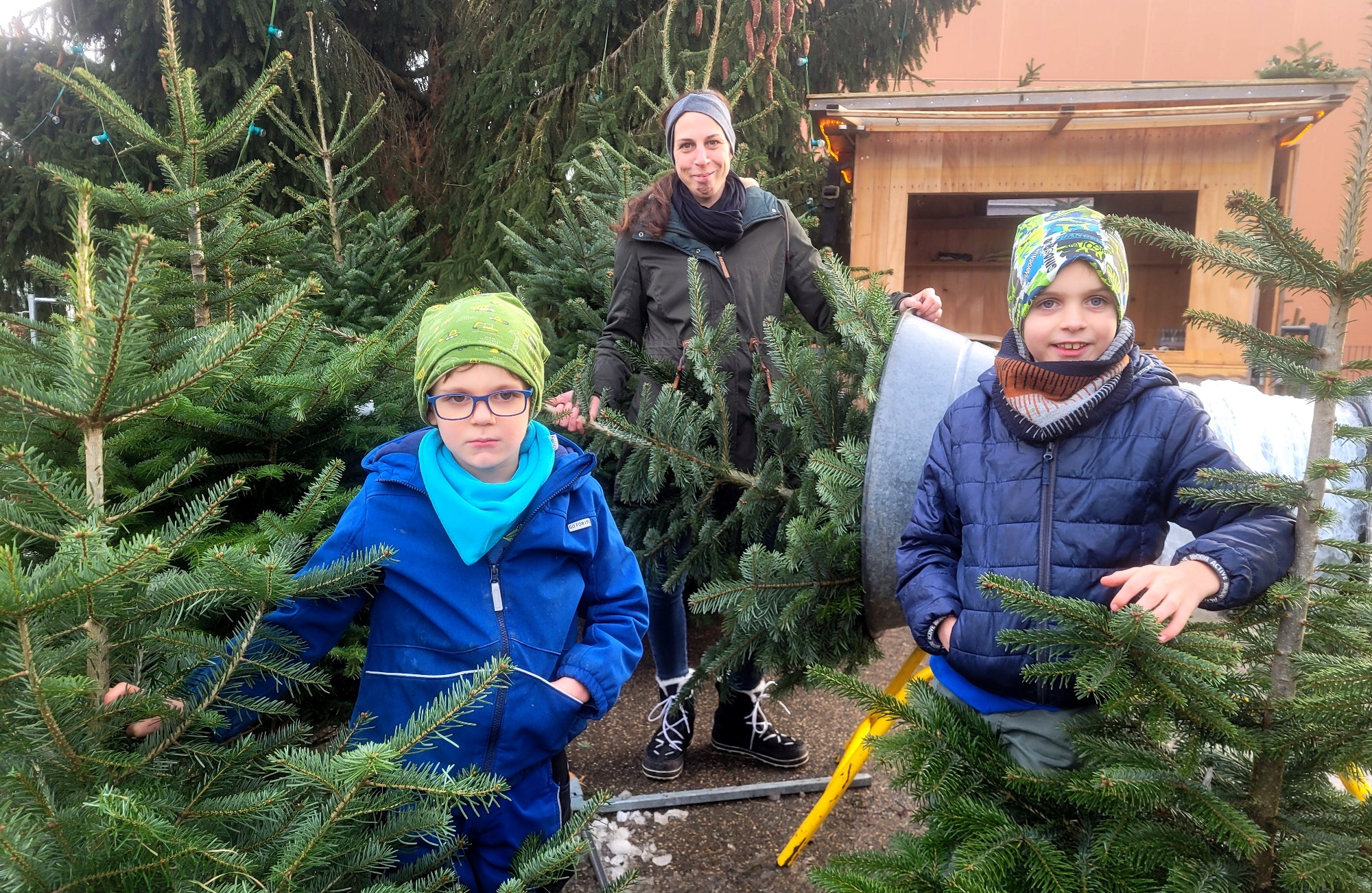 Lochau Zu__ner Pf__nder CHRISTBAUMVERKAUF Dezember 2023 _2_ TERMIN.jpg
