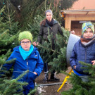 Eine „Pfändertanne“ vom Christbaumparadies Zußner in Lochau