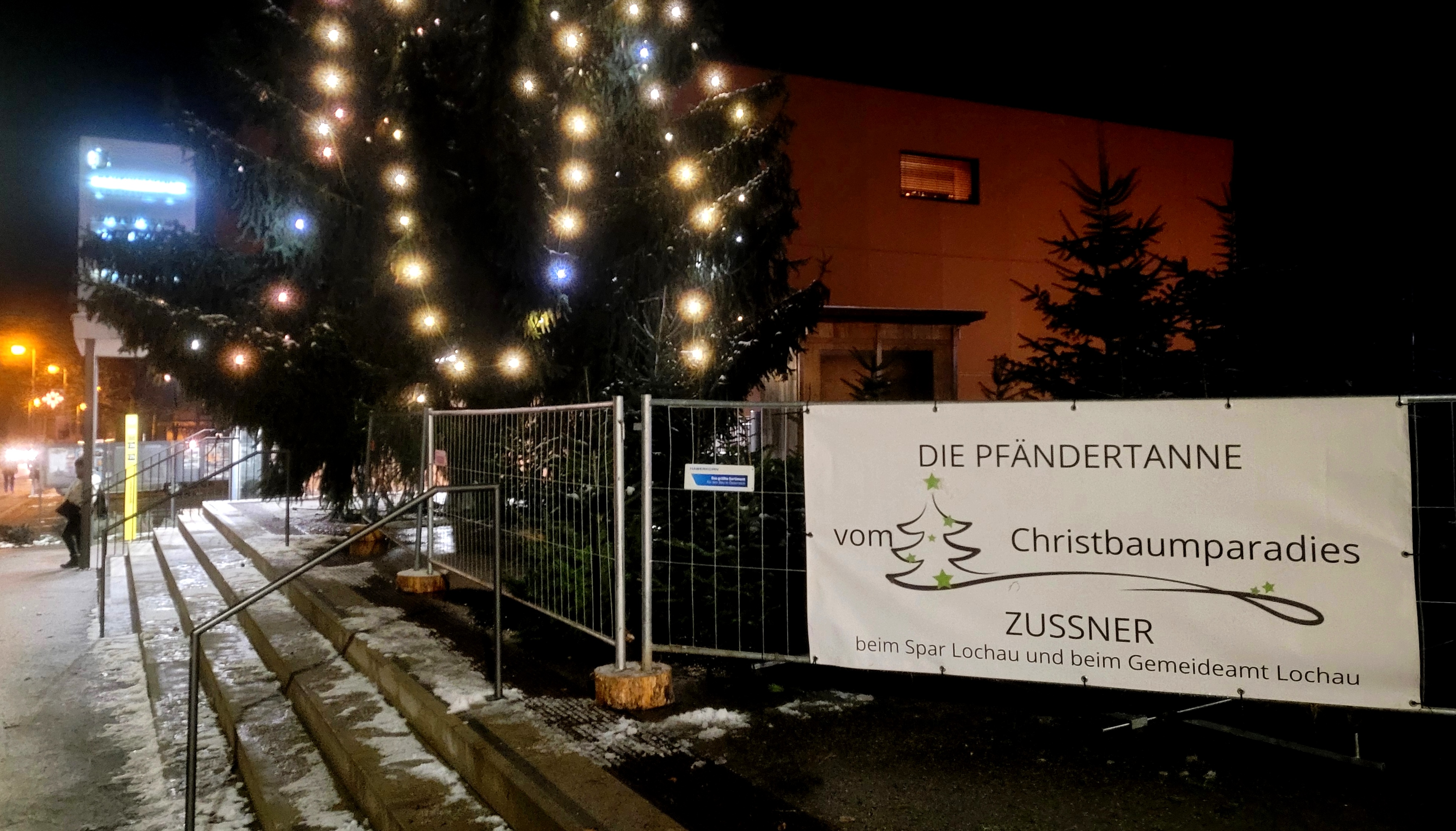 Lochau Zu__ner Pf__nder CHRISTBAUMVERKAUF Dezember 2023 _1_ TERMIN.jpg