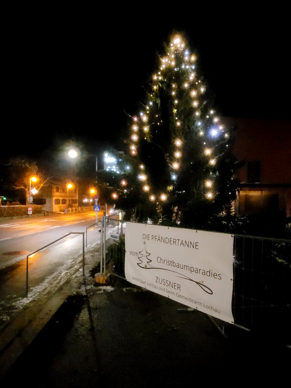 Lochau Zu__ner VATER PIUS Pf__nder CHRISTBAUMVERKAUF Dezember 2023 TERMIN.jpg