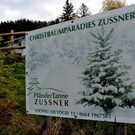 Lochau Zu__ner Pf__nder CHRISTBAUMVERKAUF Dezember 2023 _4_ TERMIN.JPG