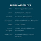 Trainingsfelder 