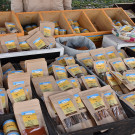 20231217_Schloss Hofener Weihnachtsmarkt-18.jpg