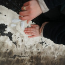 Copyright Moritz Holzinger_IMG_2593.JPG