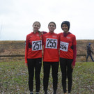 Crosslauf-Serie am Alten Rhein