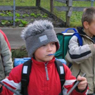 1225493.jpg