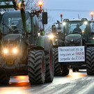 AFP_349P4YA.jpg