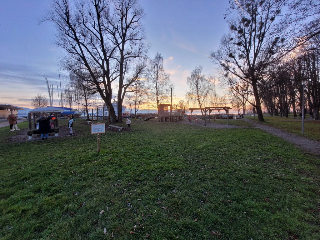 Dreik__nigslauf am See START Sportjahr 2024 am 06-01-2024 _14_.jpg