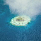 CLI - COMO Laucala Island - 3.jpg
