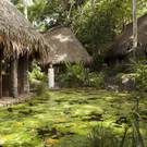 CLI - COMO Shambhala Spa.jpg