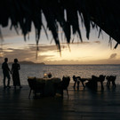MM22 Private Dining_Jetty Sunset.jpg