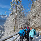 Verein VORARLBERG 50plus Erste Winterwanderung „Sunnaweg“ fand bei Traumwetter statt 