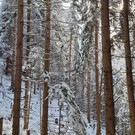 Bild 8 n.jpg