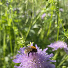 IMG_8665 2023-05-22 07_20_54.jpg