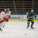 DSC03353.JPG