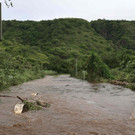 AFP_34F67XF.jpg