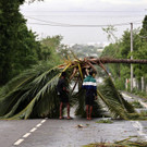 AFP_34F769L.jpg