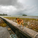 AFP_34F46ME.jpg