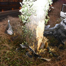 p41601-Bild 3.jpg