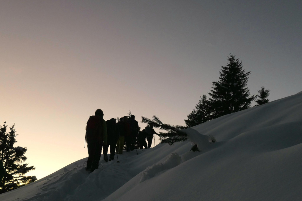 2023_12_16_NF WS 03.jpg