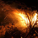 2023_12_16_NF WS 06.jpg