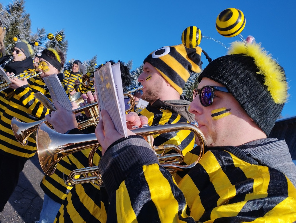 Fasching 5.jpg