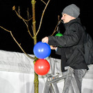 20240201_Fasching_Baum schm__cken_Gemeinder__te-8.jpg