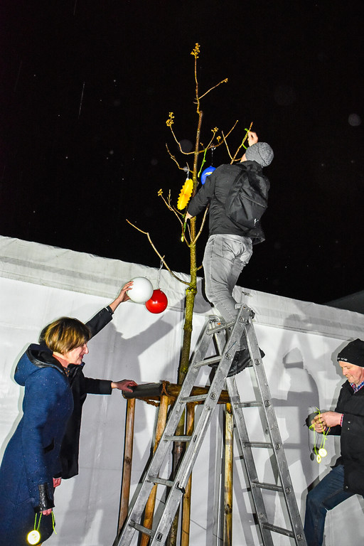20240201_Fasching_Baum schm__cken_Gemeinder__te-11.jpg