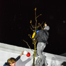 20240201_Fasching_Baum schm__cken_Gemeinder__te-11.jpg