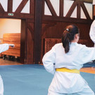 Taekwondo Training Mustang