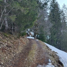 NF Schitour Gerenspitze