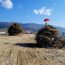 BU 7 Lochau Funken B__UMLE am See SYMBOLFOTO Terminank__ndigung Februar 2024 _9_.jpg