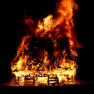 BU 1b Lochau Funken B__UMLE am See SYMBOLFOTO Terminank__ndigung Februar 2024 _3_.JPG