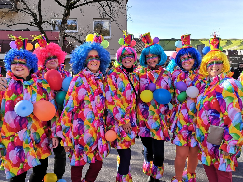 Fasching Schwarzach 6 a quer.jpg