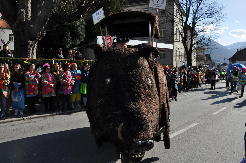 DSC_0342.JPG