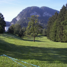 100_9825.JPG