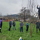 Ein buntes Gartenjahr mit dem Obst- und Gartenbauverein Dornbirn 