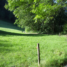 100_9813.JPG